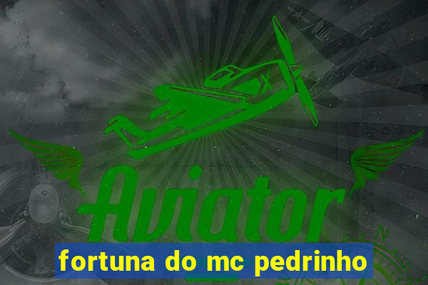 fortuna do mc pedrinho